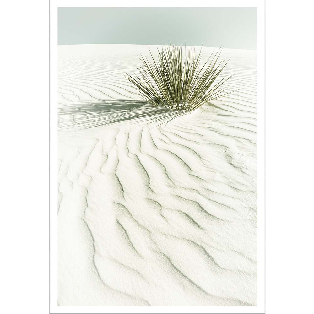 WHITE SANDS Idyllic scenery