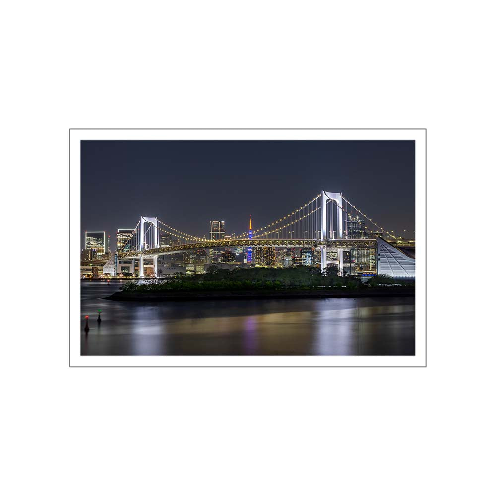 Striking Rainbow Bridge and Tokyo Skyline at night