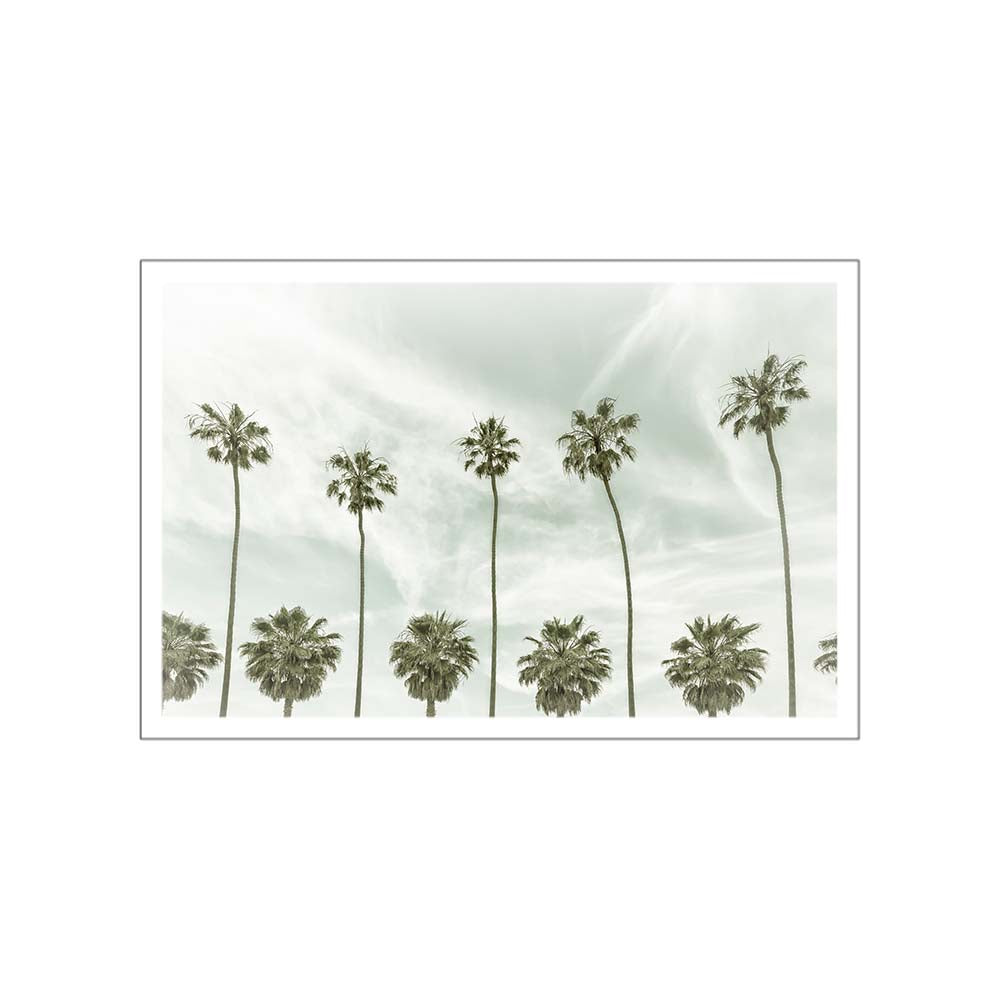 Vintage Palm Trees