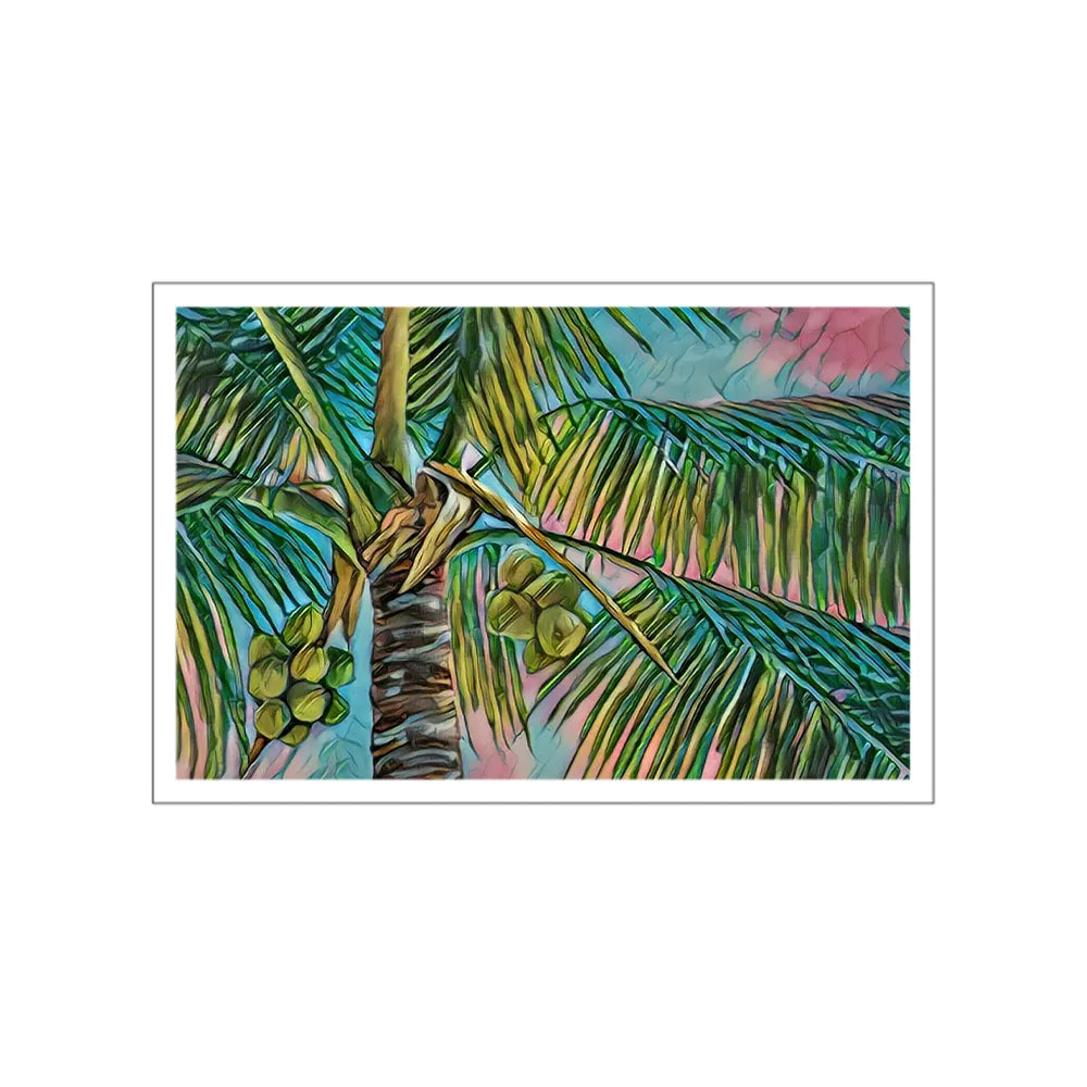 Coconuts & Pink Palms