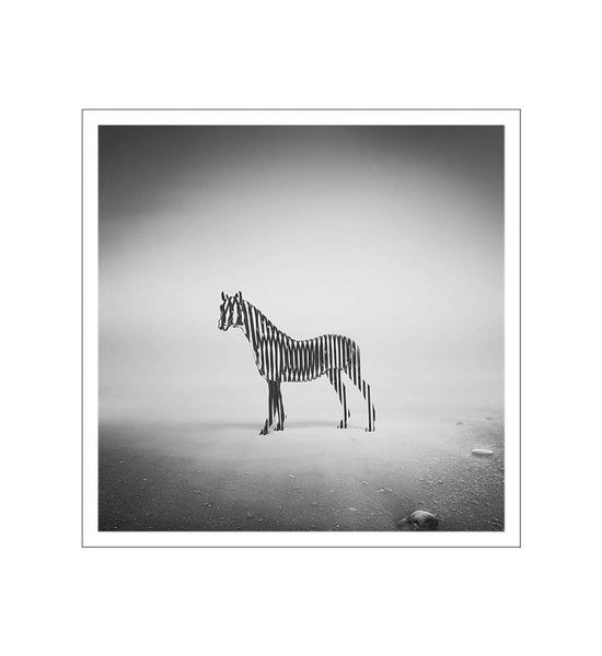 Zebra Mist