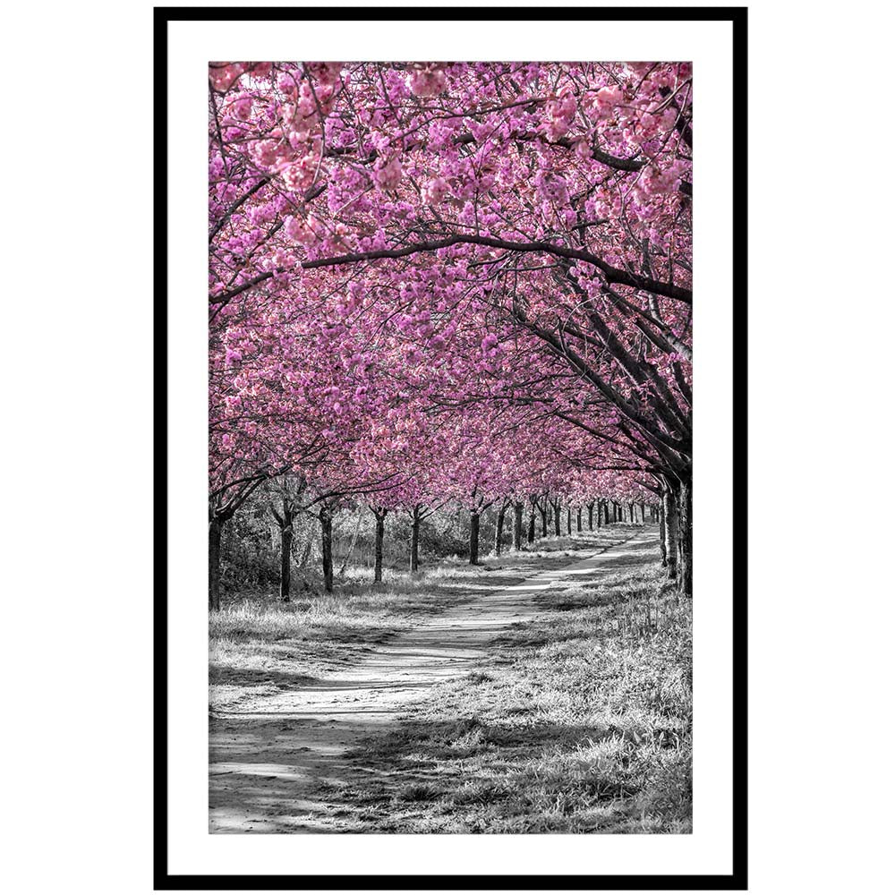 Gorgeous cherry blossom alley in pink