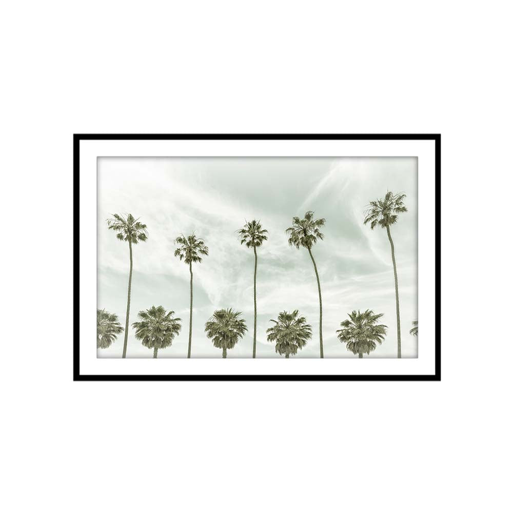 Vintage Palm Trees
