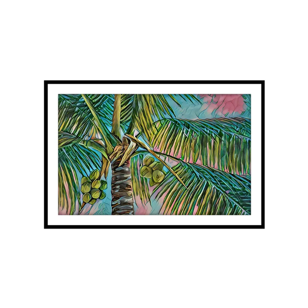 Coconuts & Pink Palms