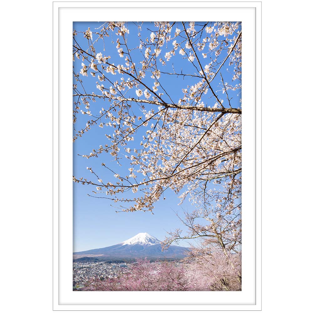 Charming view of Mount Fuji