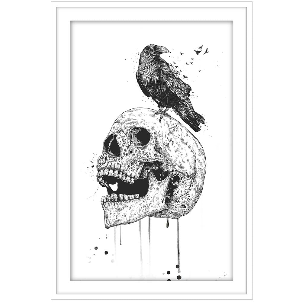 New Skull Bw