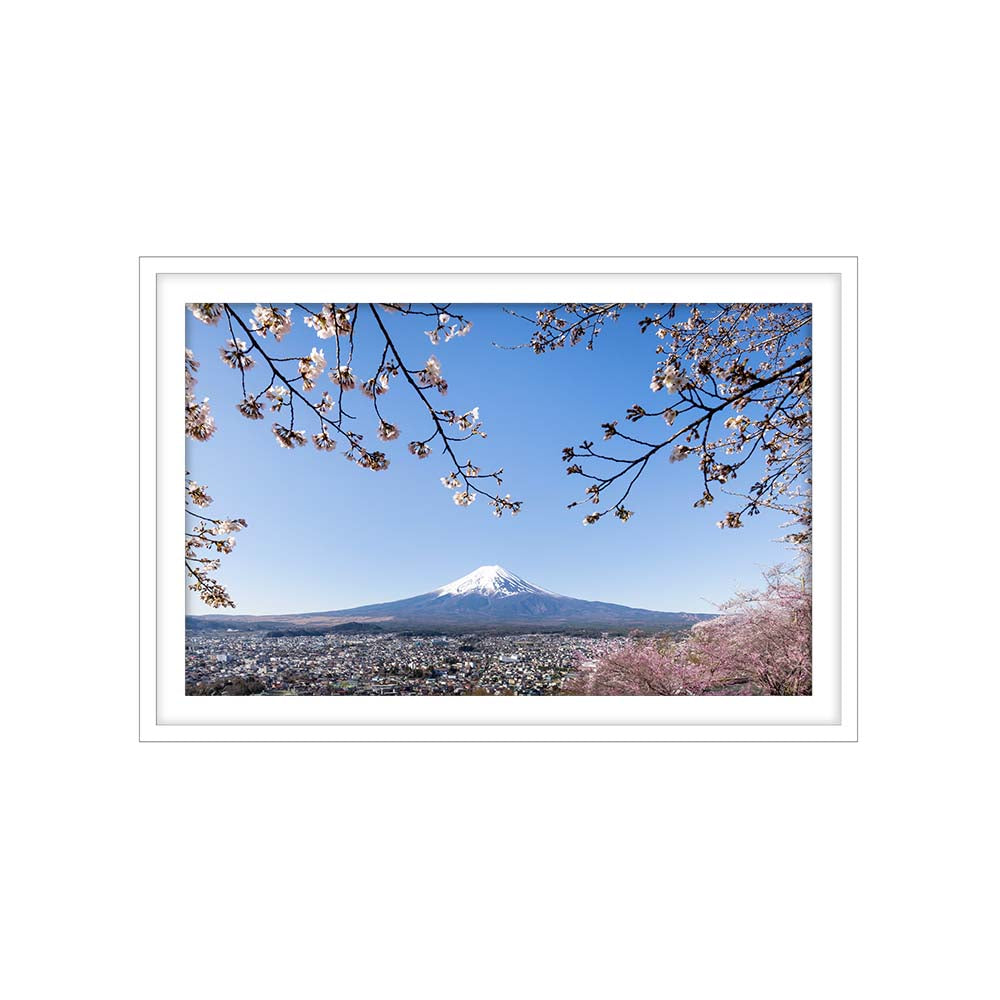 Mount Fuji with Cherry Blossoms