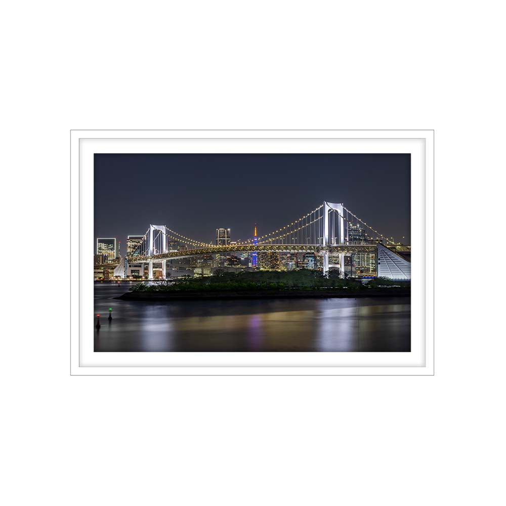 Striking Rainbow Bridge and Tokyo Skyline at night