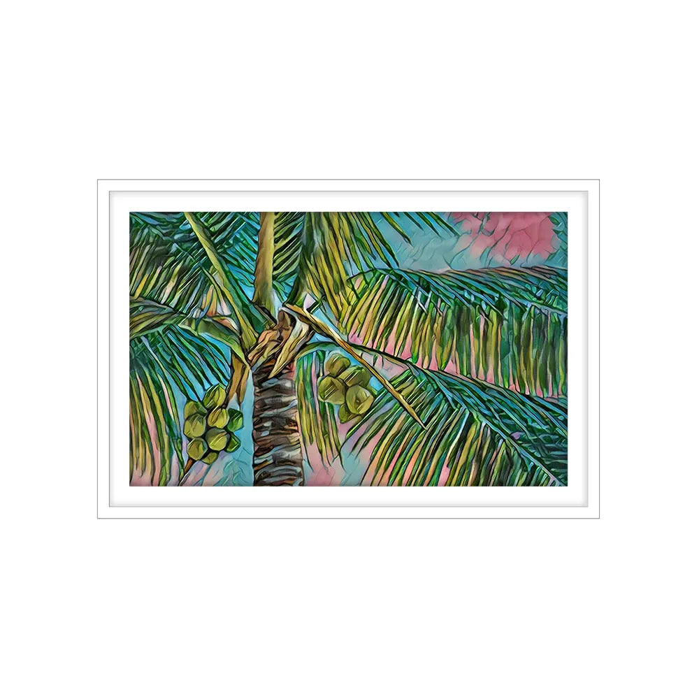 Coconuts & Pink Palms