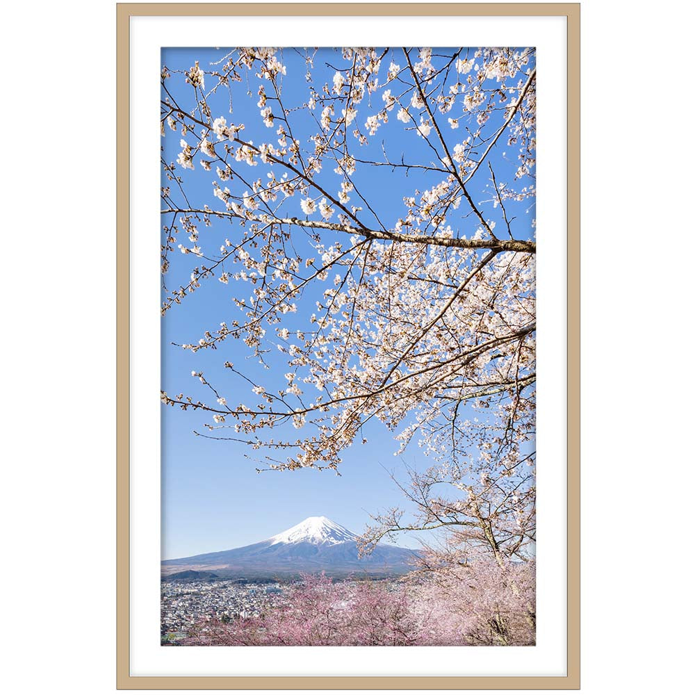 Charming view of Mount Fuji