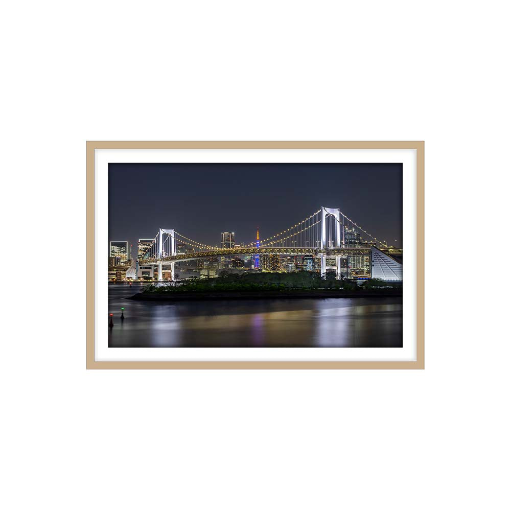 Striking Rainbow Bridge and Tokyo Skyline at night