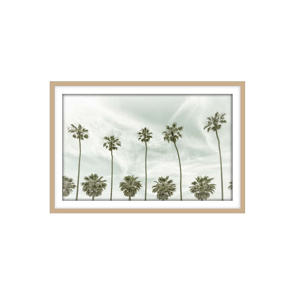 Vintage Palm Trees