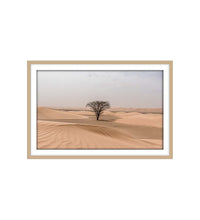 Tree in the Sahara Desert