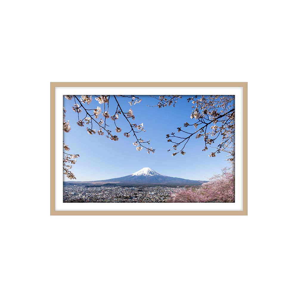 Mount Fuji with Cherry Blossoms