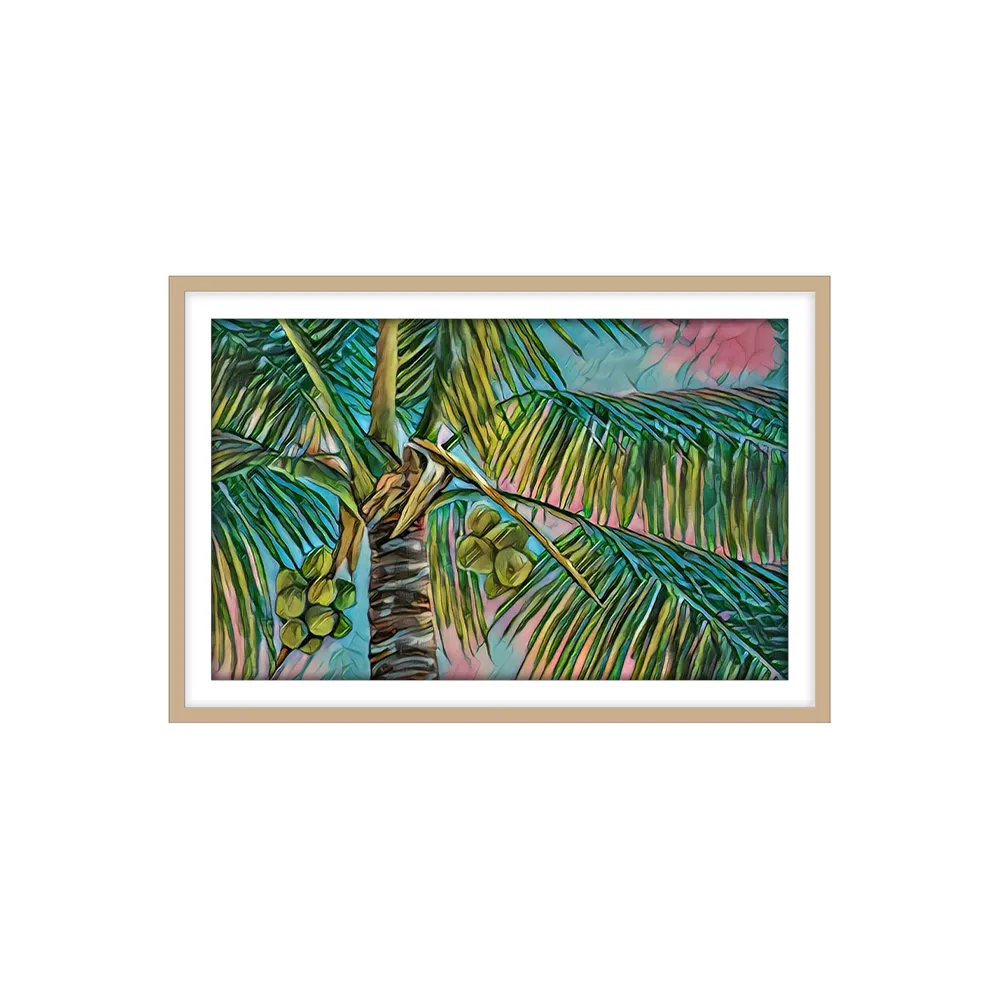 Coconuts & Pink Palms