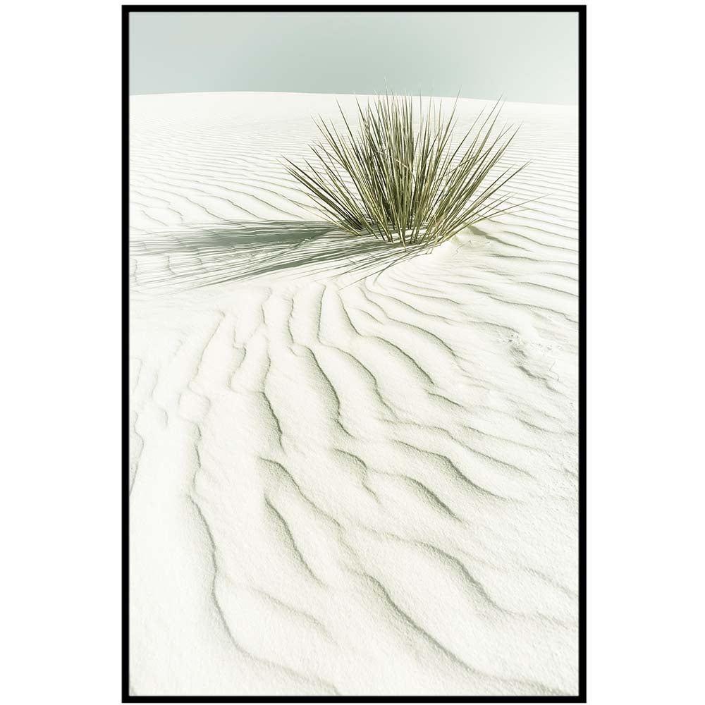 WHITE SANDS Idyllic scenery