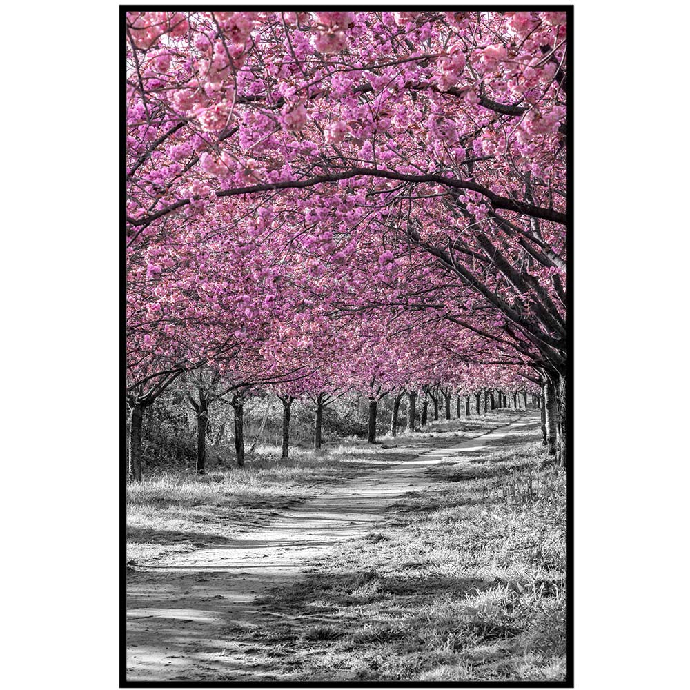 Gorgeous cherry blossom alley in pink