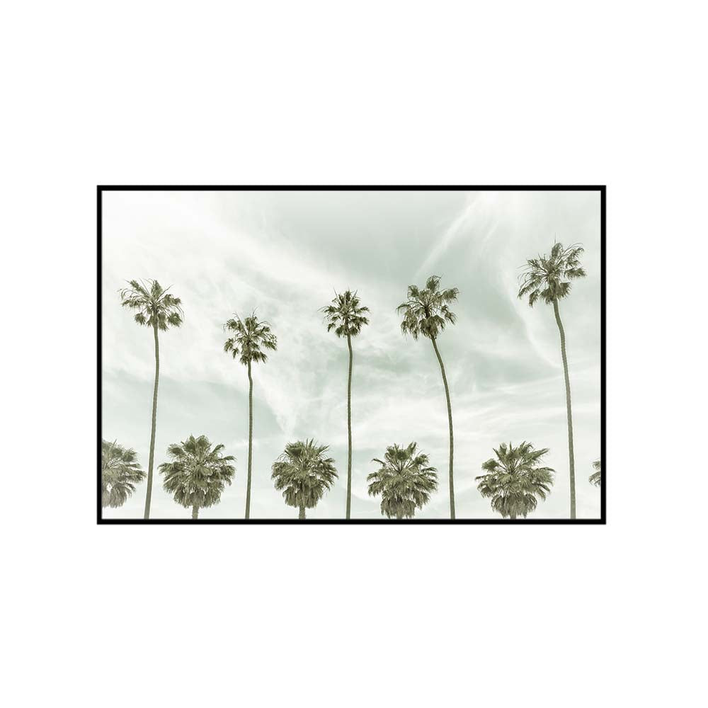 Vintage Palm Trees