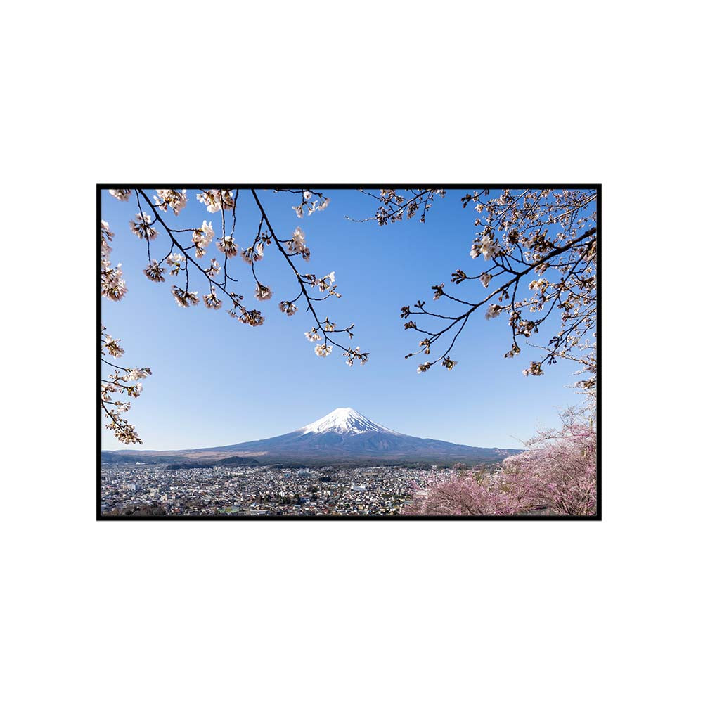 Mount Fuji with Cherry Blossoms