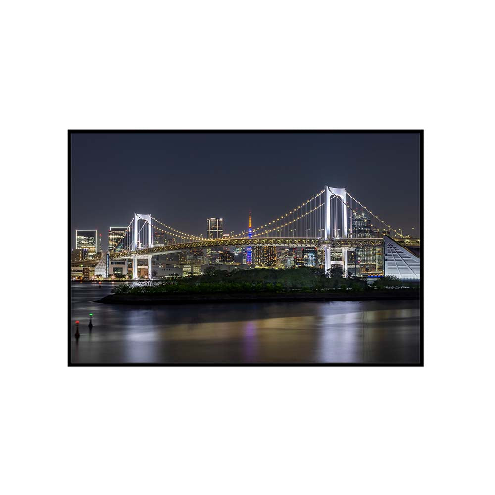 Striking Rainbow Bridge and Tokyo Skyline at night