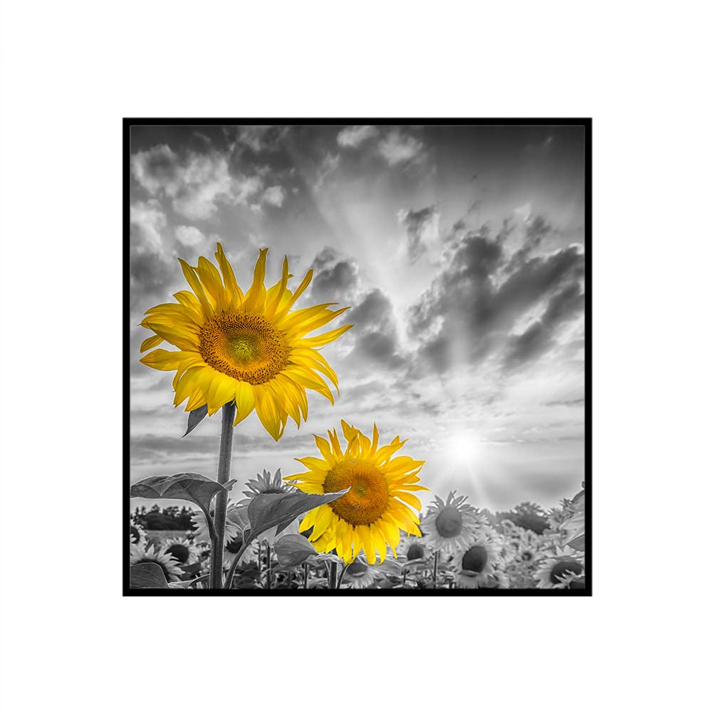 Focus on two sunflowers