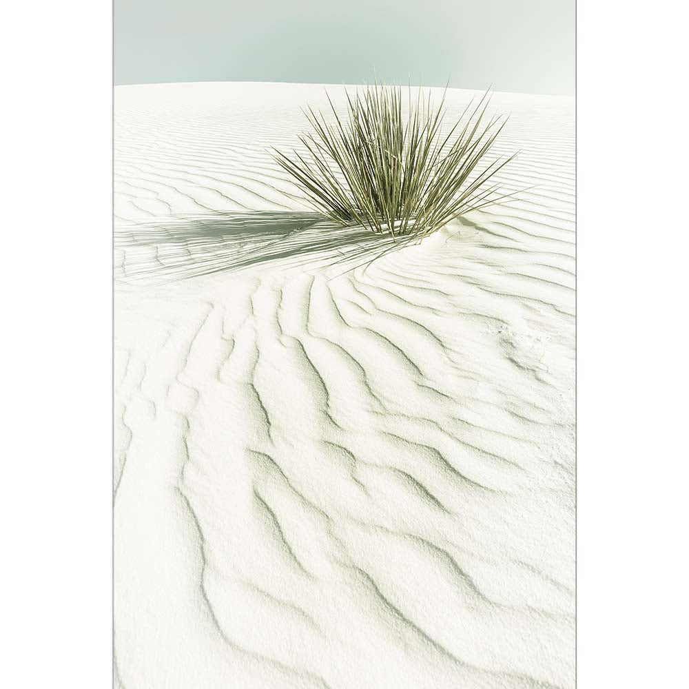 WHITE SANDS Idyllic scenery