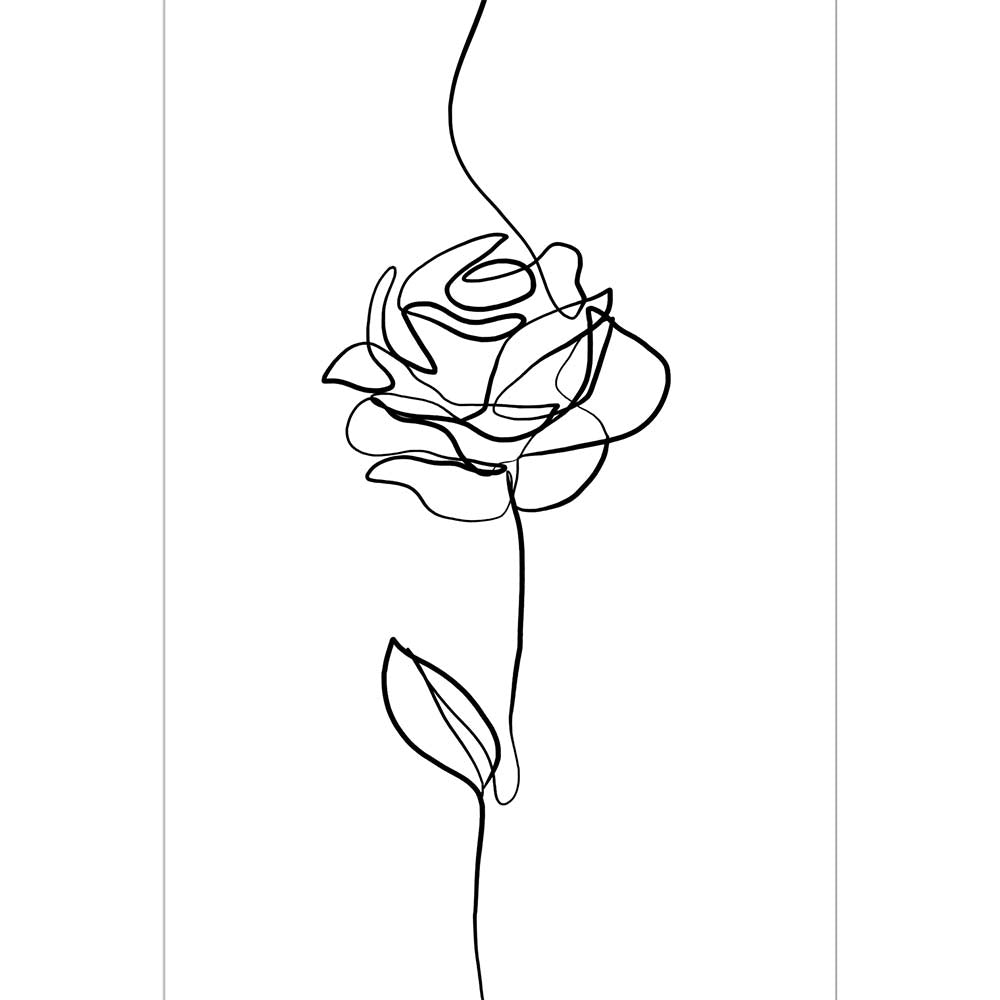 Rose Line Drawing