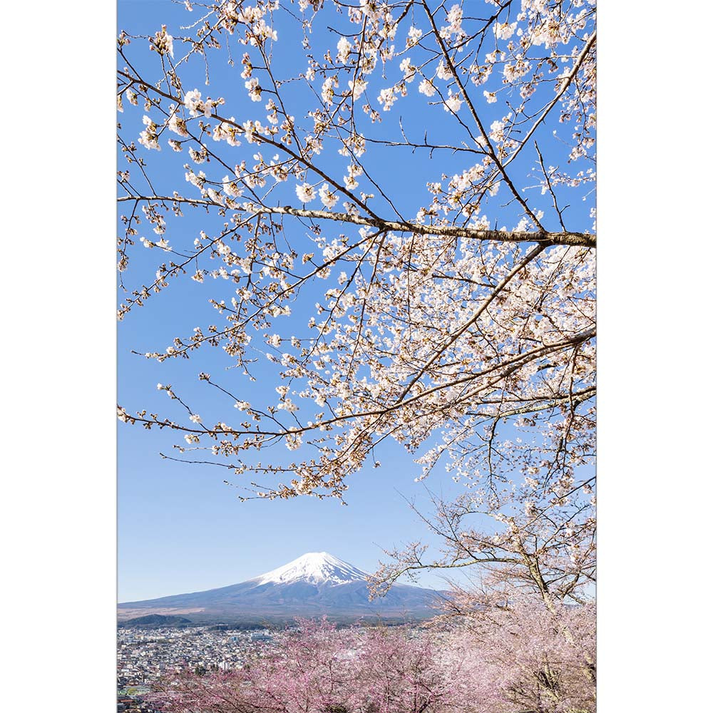 Charming view of Mount Fuji