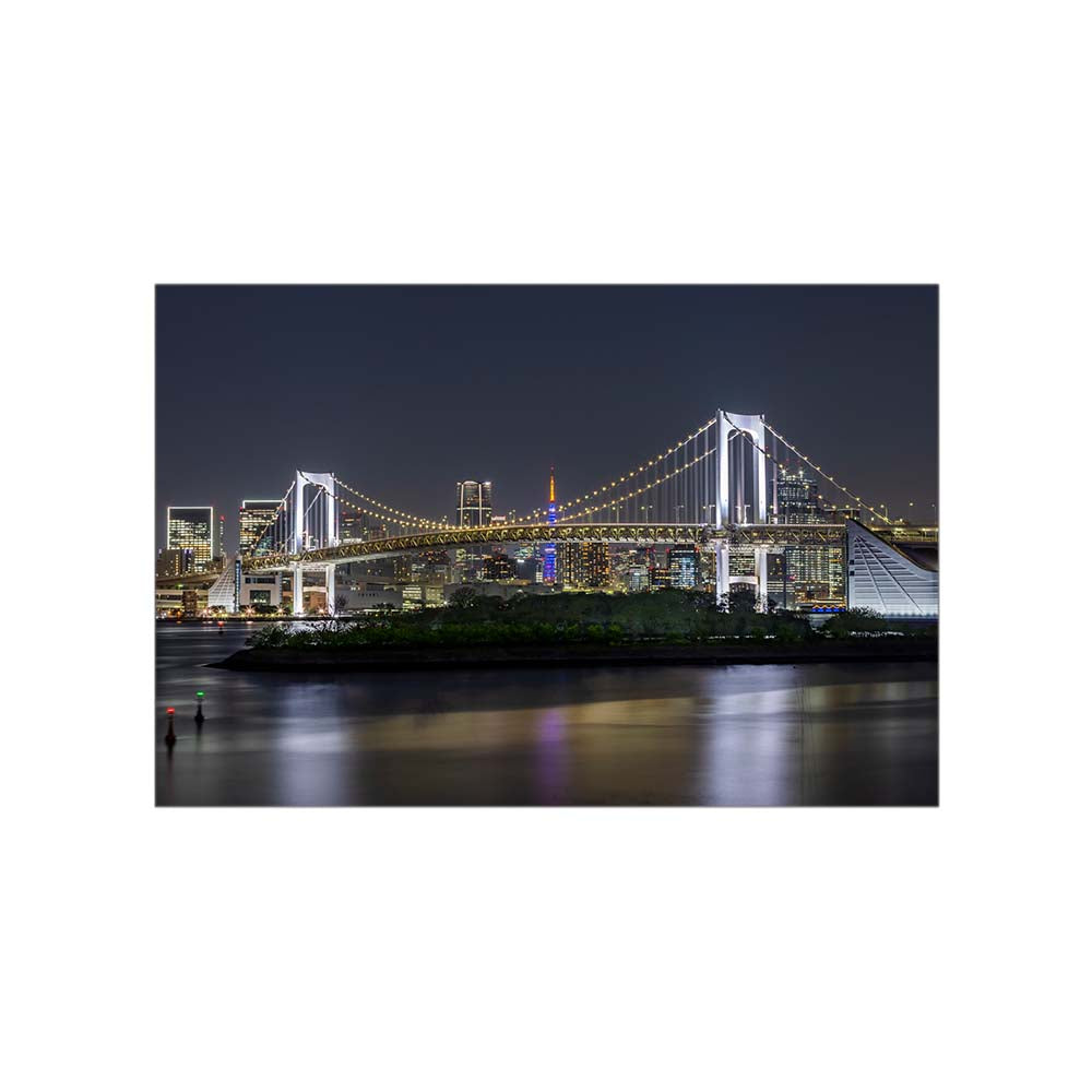 Striking Rainbow Bridge and Tokyo Skyline at night