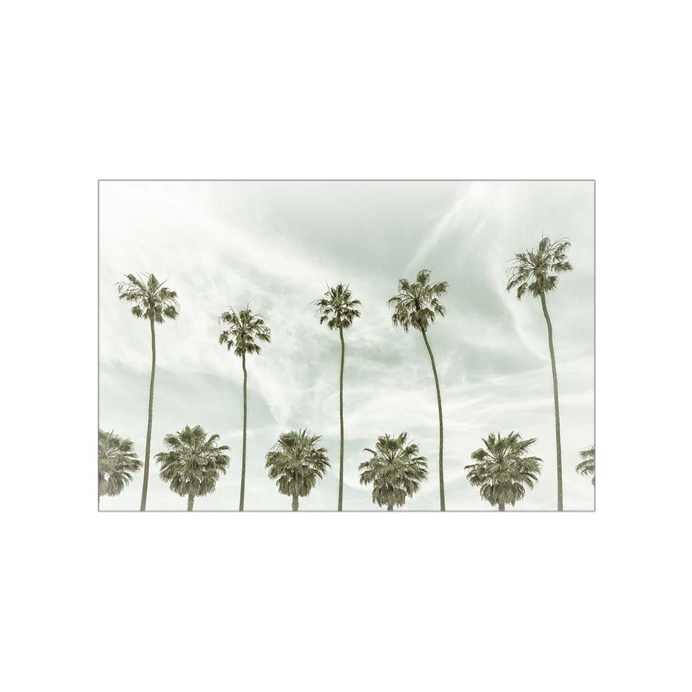 Vintage Palm Trees