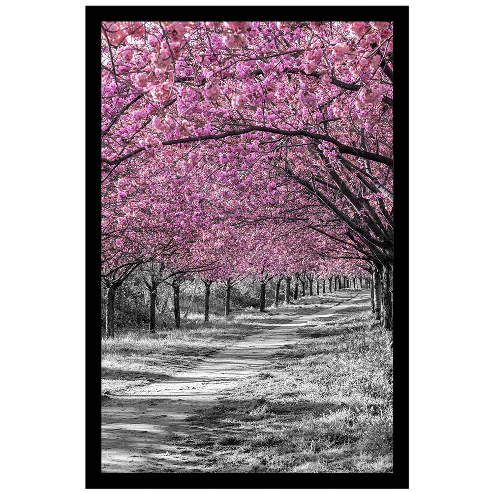 Gorgeous cherry blossom alley in pink