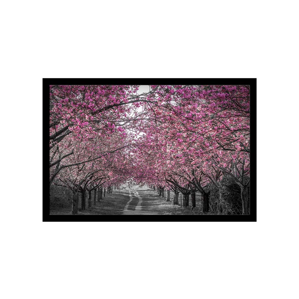 Lovely cherry blossom alley in pink