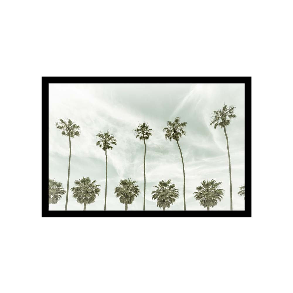 Vintage Palm Trees