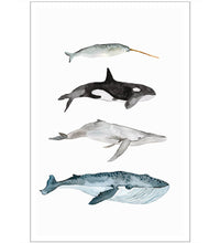 Four Whales
