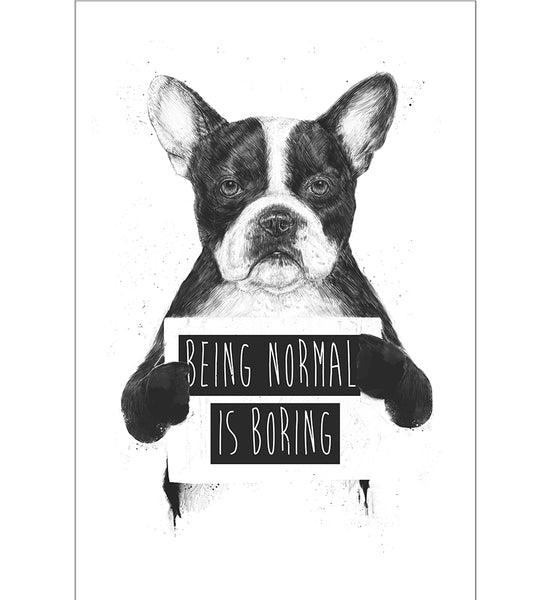 Being Normal is Boring - Floomingz