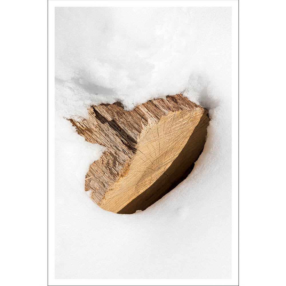 Snow Wood