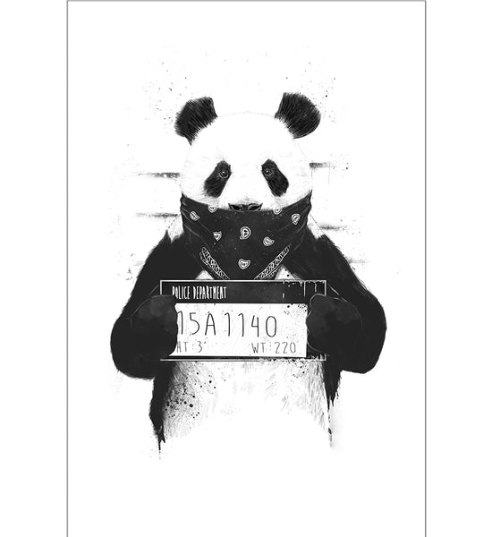 Bad Panda - Floomingz