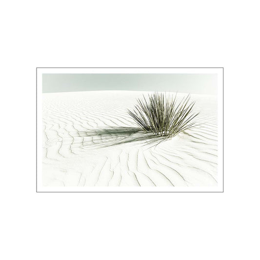 WHITE SANDS Vintage Dune