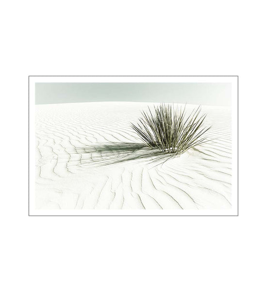 WHITE SANDS Vintage Dune