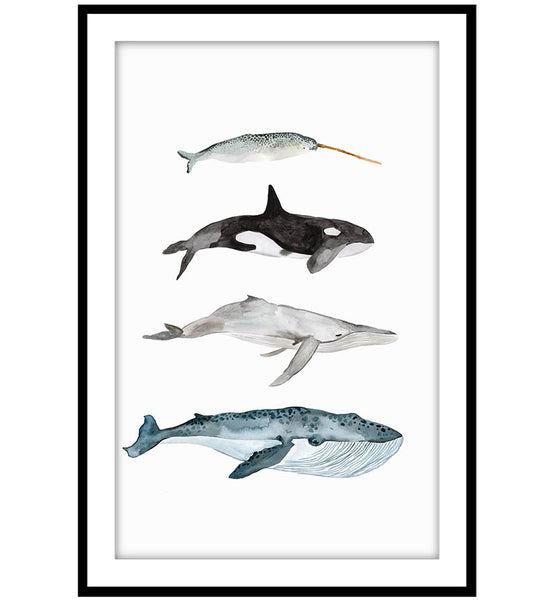 Four Whales