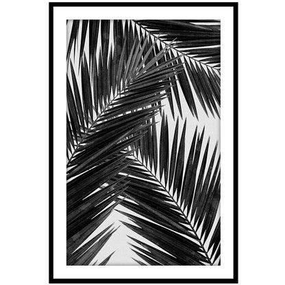 Palm Leaf II
