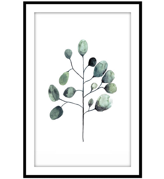 Eukalyptus I