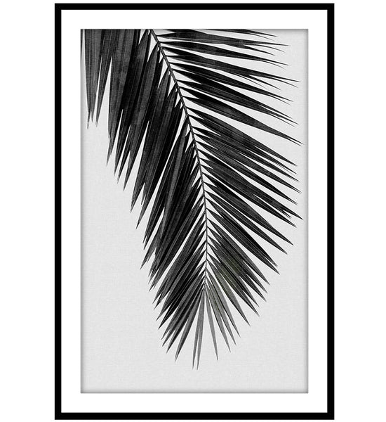 Palm Leaf I