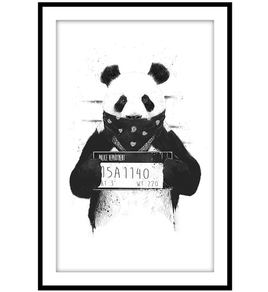 Bad Panda - Floomingz