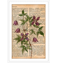 Vintage Book Art - Alpine flowers