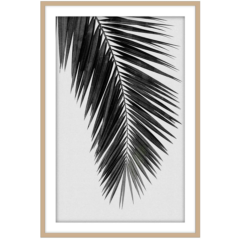 Palm Leaf I