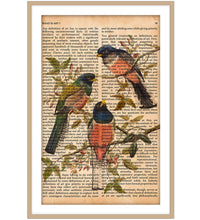Vintage Book Art - Trojan Birds