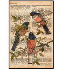 Vintage Book Art - Trojan Birds