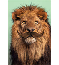 Bearded Lion