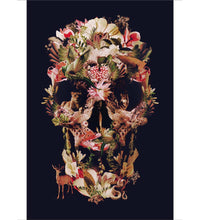 Jungle Skull - Floomingz